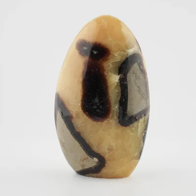 Dekoračný kameň - septárie