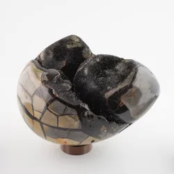 Dračie vajce septárie Madagaskar 4,8kg